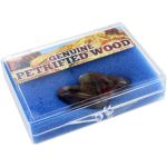 Photo of the: Petrified Wood Educational Box