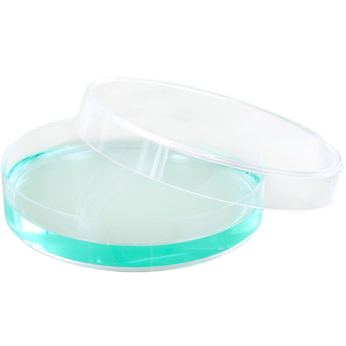 Plastic Petri Dish - 70mm - Single - Image one