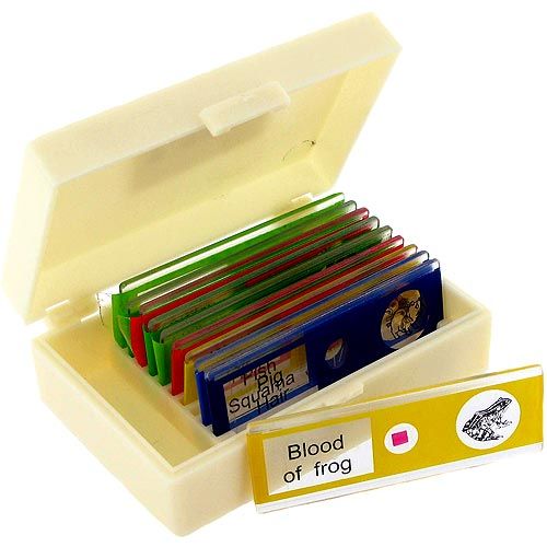 Safe Plastic Microscope Slides Set - Animals - Image one