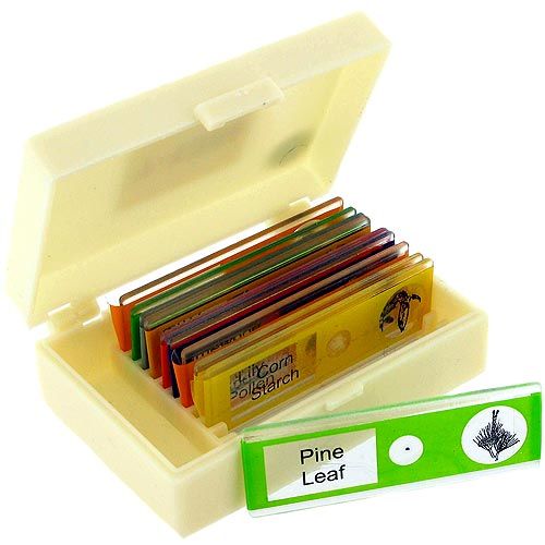 Safe Plastic Microscope Slides - Plants - Image one