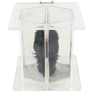 Projector of Magnetic Line of Force Kit Photo 2