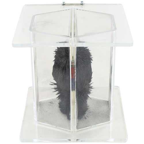 Projector of Magnetic Line of Force Kit - Image two