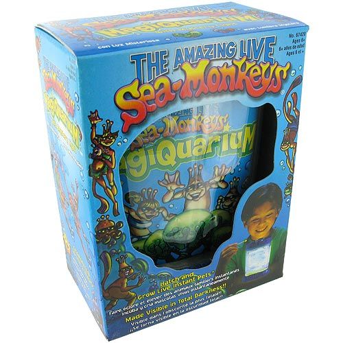 seamonkeys toy