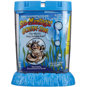 Photo of the Sea Monkeys Ocean Zoo