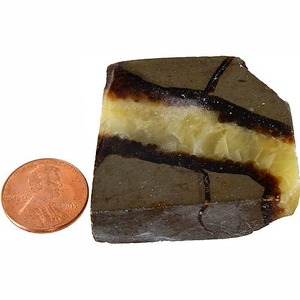 Septarian Slab Photo 1