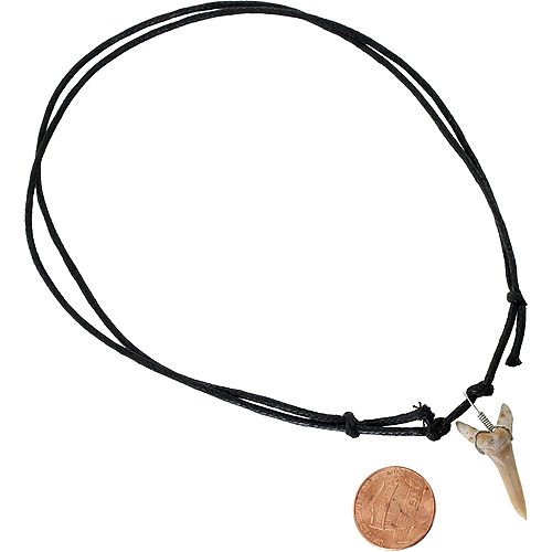 Shark Tooth Necklace - Image one