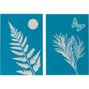 Solar Print Kit Photo 2