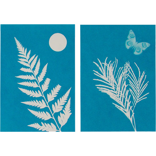 Solar Print Kit - Image two