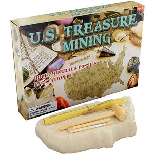 Photo of the US Treasure Mining