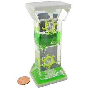 Photo of the Water Wheel Timer