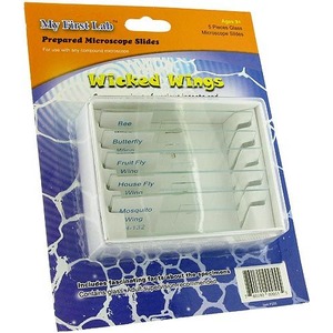 Wicked Wings Prepared Microscope Slides Set - Image One